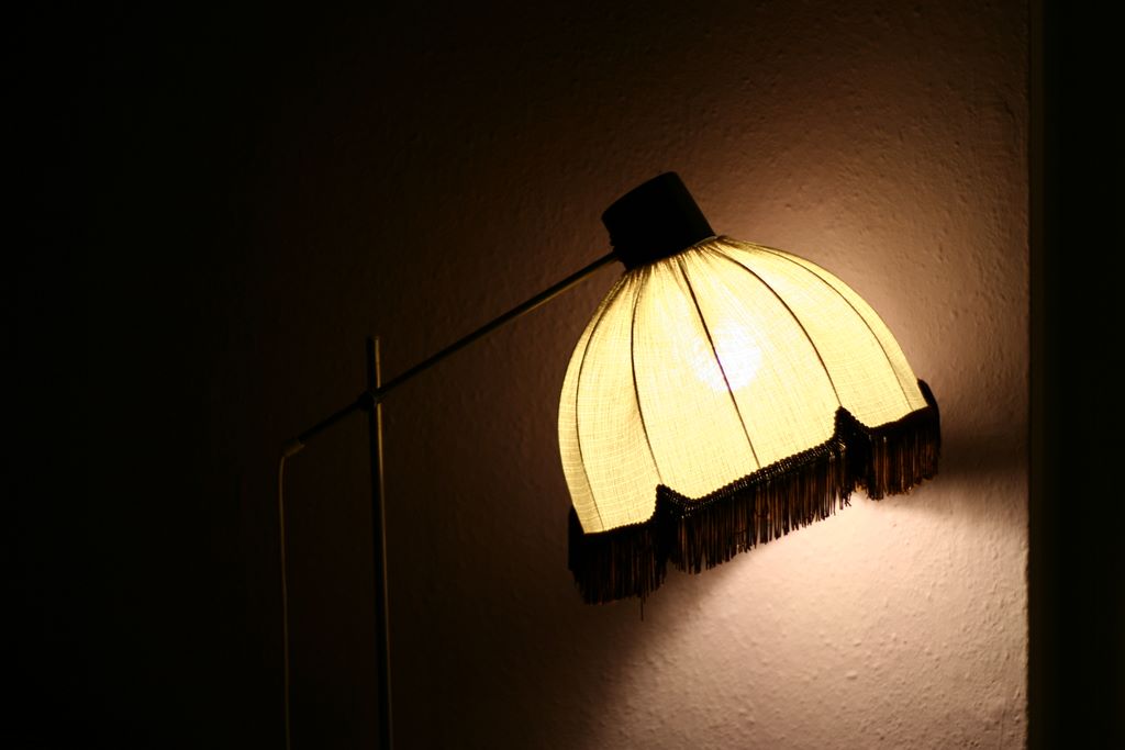 Ein Vöglein bellt