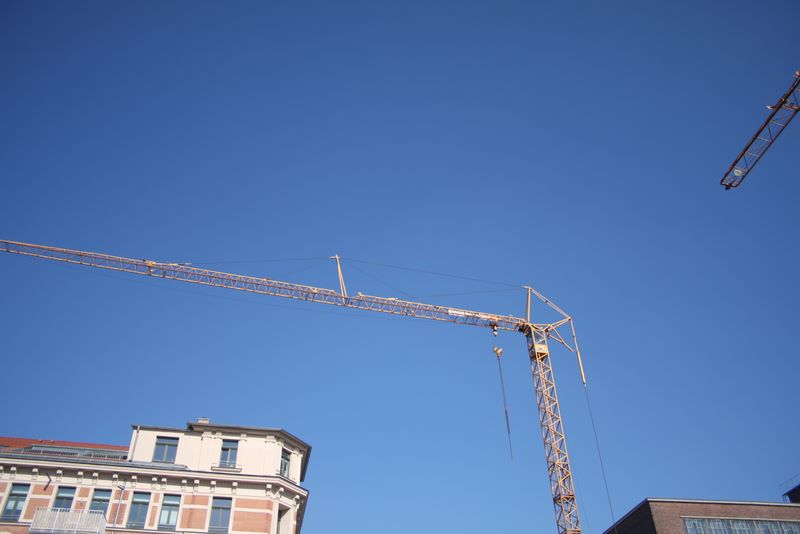 Freiexemplar