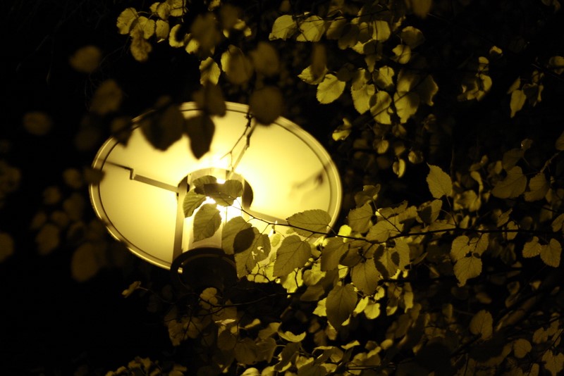 Eine Lampe.
