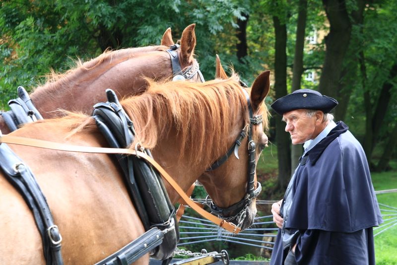 Kennt jemand noch den Nachbarn aus ‚Kevin – Allein zu Haus‘?