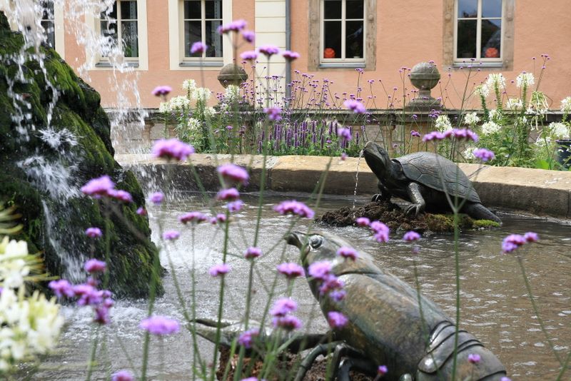 Der Stein berichtet.